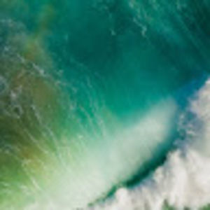 Meet your Posher, Peter